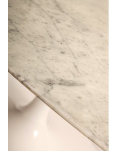 Traitement polyester pour Table en marbre