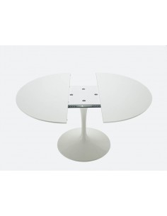 Extendable dining tableExtendable dining table